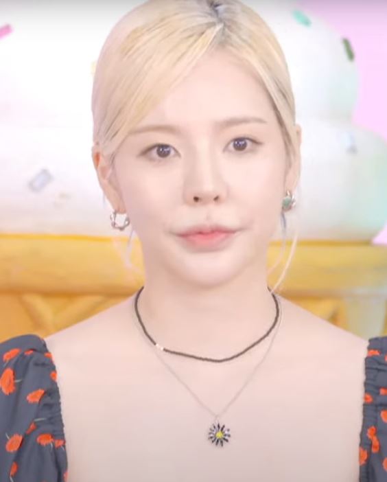 韓國VINTAGE HOLLYWOOD - Vivid Vintage Daisy Necklace (4color)| 姜昇潤 Sunny Sunmi 同款